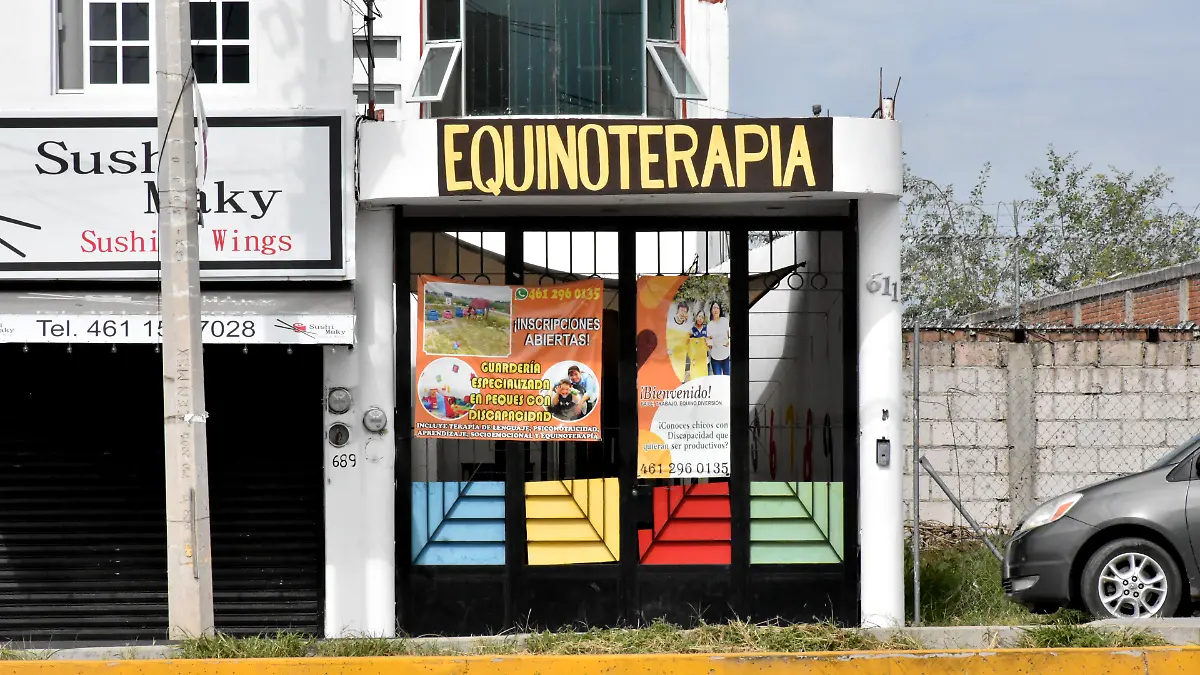 Equinoterapia (1)